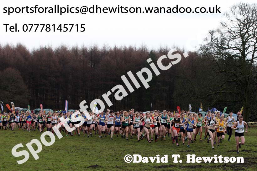 Senior womens Northern Cross Country, Knowsley Safari Park. Photo: David T. Hewitson/Sports for All Pics